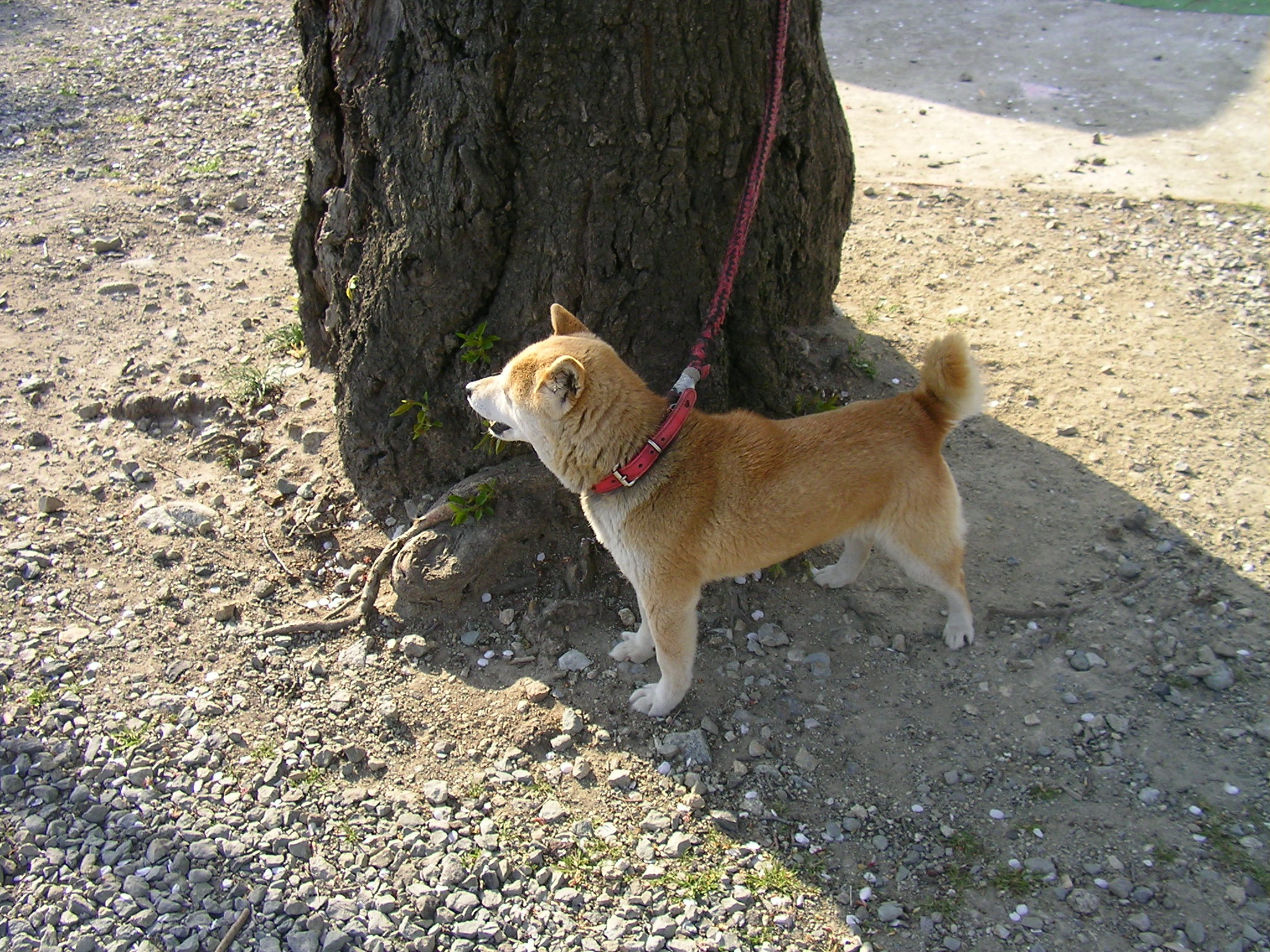 ���շ���������λ�̳���ʡ�縩��